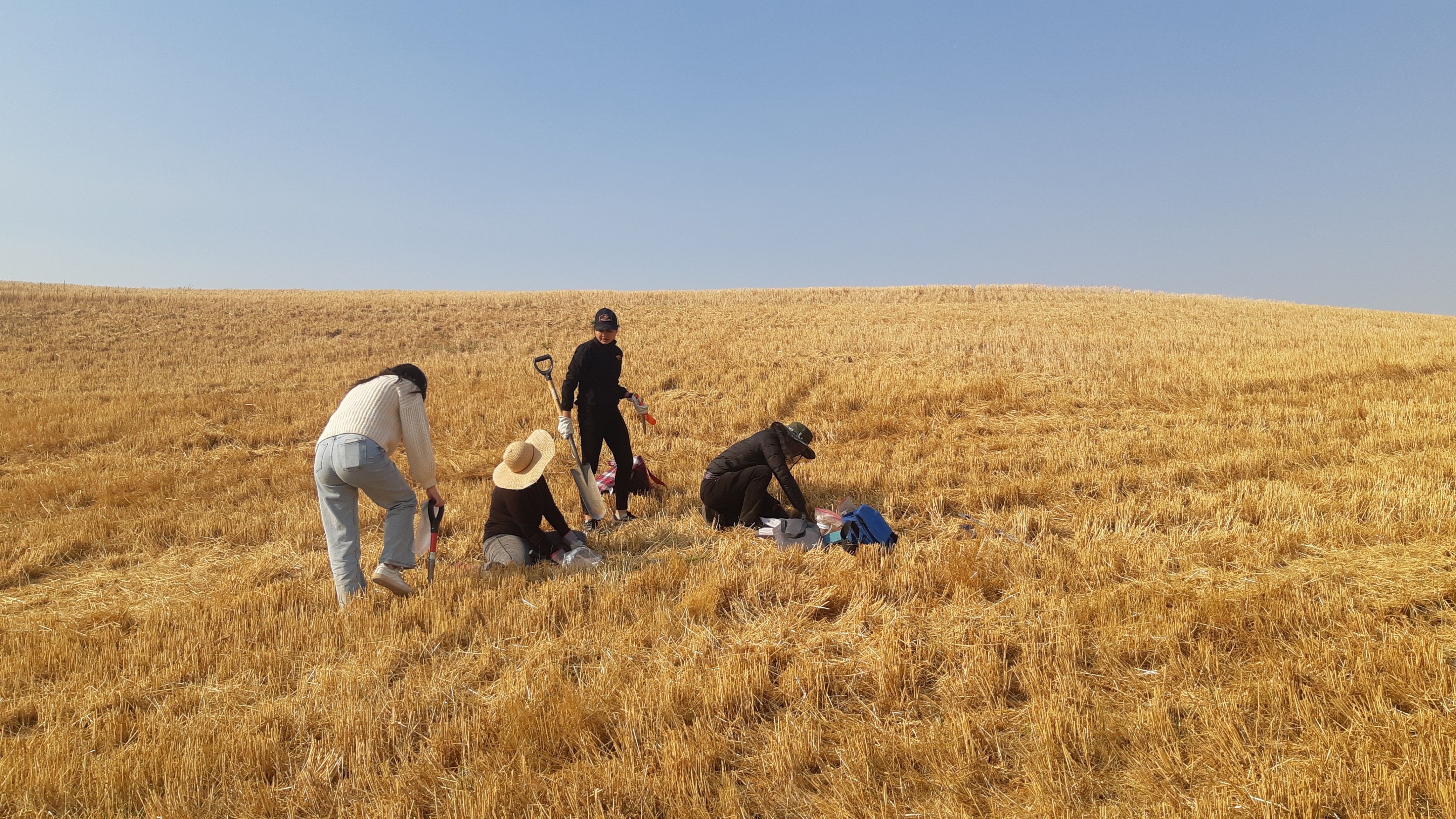 Kiseok and team sampling soil at Cook Agronomy Farm
